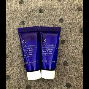 Dr Dennis Gross Stress Repair